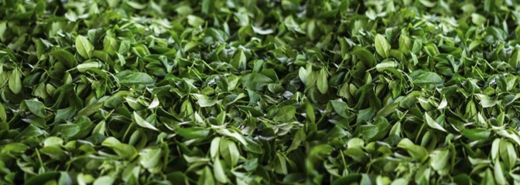 габа 3.jpg габа 3.jpg