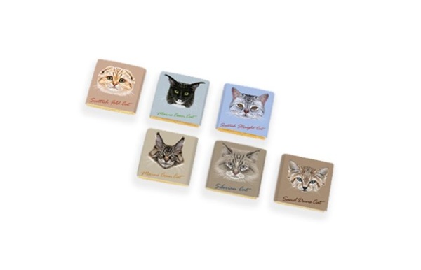 f5ec9ee7a398464ebea6a17913949bdd