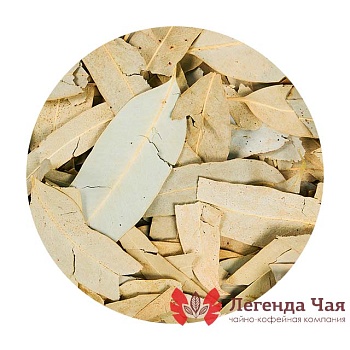 Эвкалипт Лист Сушеный 