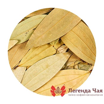 Кассия Лист Сушеный 