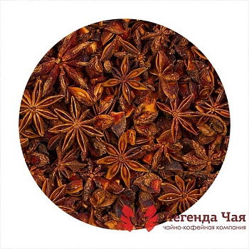 Бадьян Плод Сушеный 