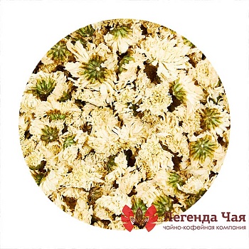 Хризантема Цветок Белый Крупный Сушеный 