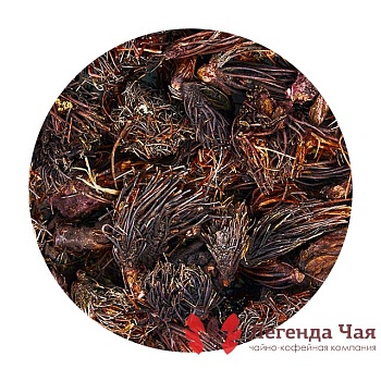 Красная щетка Цветок Сушеный 