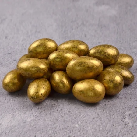 fd19v6wufbgvlwqc6qzobf0yetmdy8bo