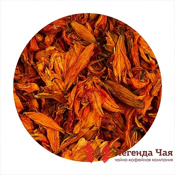 Лилия Цветок Сушеный 